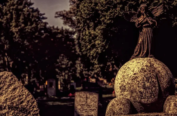 Piccolo Angelo Sta Suonando Musica Cimitero — Foto Stock