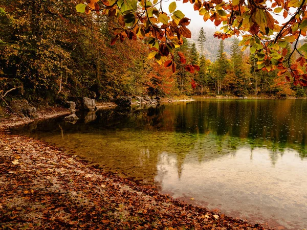 Uno Splendido Scenario Lago Parco Autunno — Foto Stock