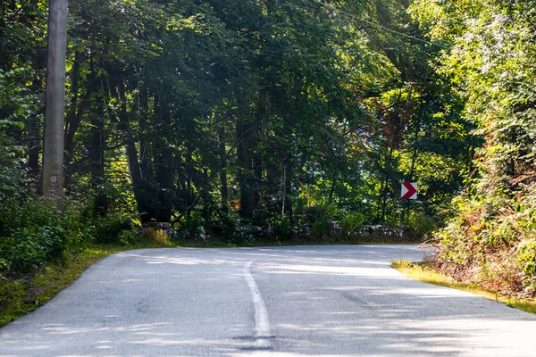 Una Vista Naturale Della Strada Tra Gli Alberi Una Giornata — Foto Stock