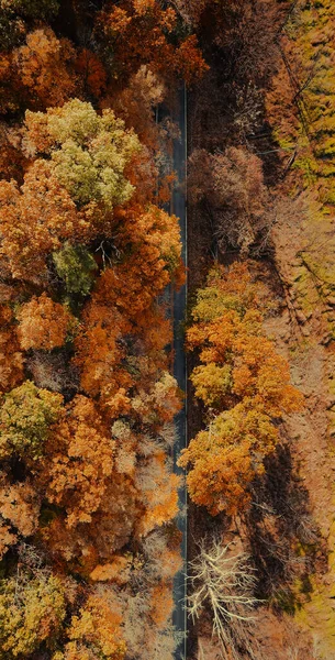 Hershey Birleşik Devletler Kasım 2021 Abd Nin Hershey Kentinde Sonbahar — Stok fotoğraf