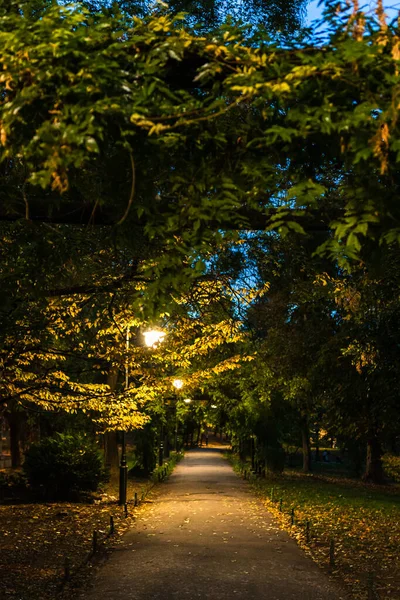 ルーマニア ブカレストのダウンタウンの夜にCismiiu Gardens Parkで暗い路地の垂直ショット — ストック写真