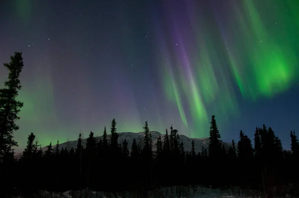 Silhouette Shot Beautiful Northern Lights Field — Stock Photo, Image