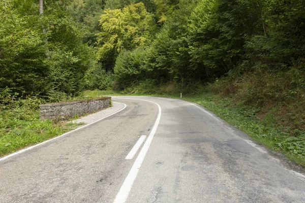 Ağaçlarla Çevrili Bir Yol Manzarası — Stok fotoğraf