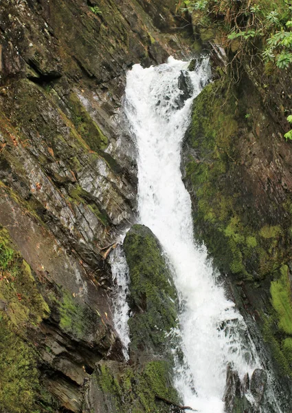 Gyönyörű Kilátás Egy Vízesésre Erdőben — Stock Fotó