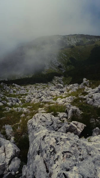 Vertical Shot Hillside Mountains Clouds Foggy Day — Stockfoto