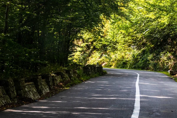 Una Vista Natural Carretera Entre Los Árboles Días Soleados —  Fotos de Stock