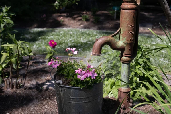 Eine Nahaufnahme Einer Rostigen Alten Pumpe Zum Blumengießen Garten — Stockfoto