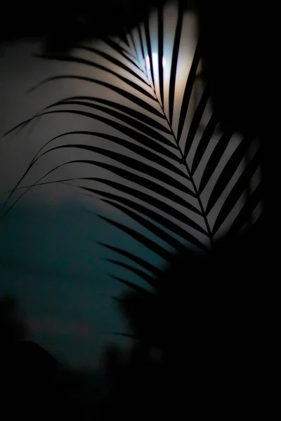 보름달 번쏘아 — 스톡 사진