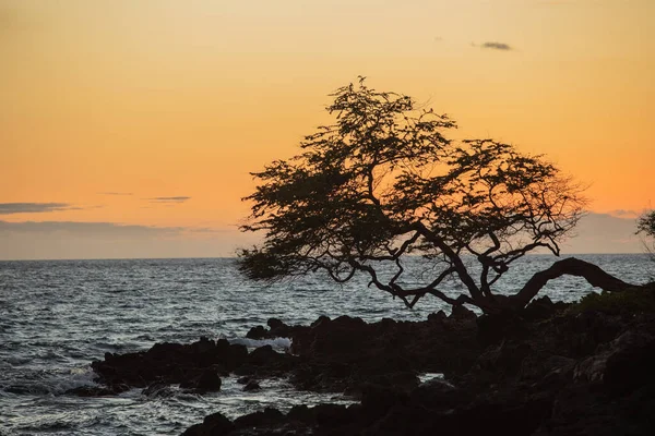 Uma Bela Foto Mar Pôr Sol — Fotografia de Stock