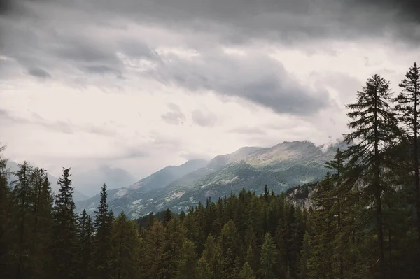 Bulutlu Bir Günde Arka Planında Dağlar Olan Yeşil Bir Orman — Stok fotoğraf