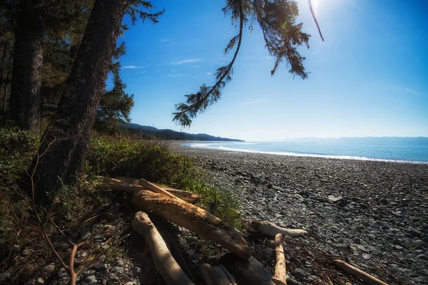 Vista Orilla Vacía Isla Vancouver Columbia Británica Canadá —  Fotos de Stock