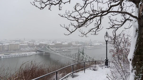 Liberty Bridge Snowy Winter Day Budapest Hungary — Stock Photo, Image
