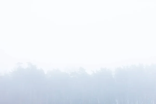 Árboles Desnudos Cubiertos Niebla Parque Público Vacío — Foto de Stock