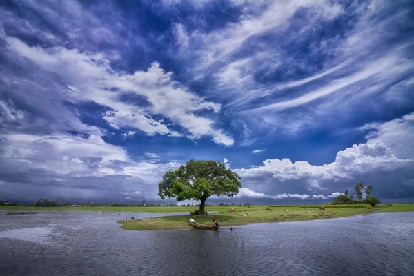 Piękna Scena Wiejska Bangladeszu — Zdjęcie stockowe