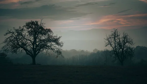 Uma Bela Vista Campo Brilhando Sob Céu Nublado — Fotografia de Stock