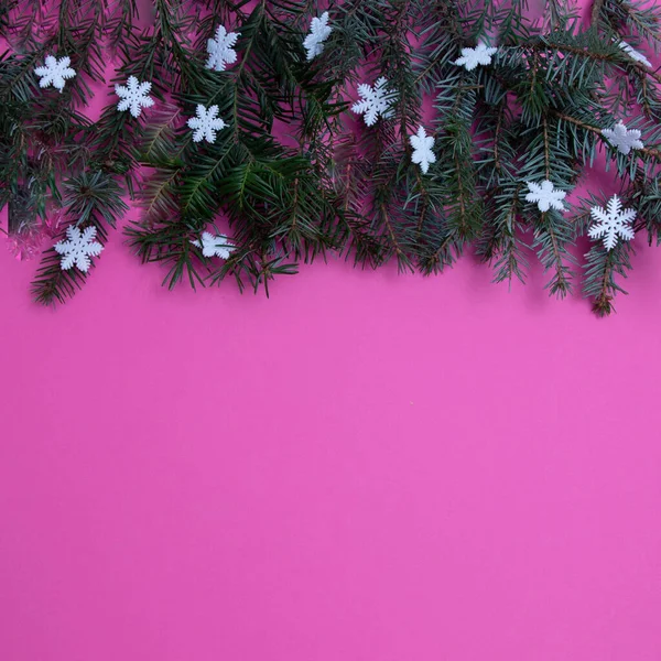 Evergreen Trees Snowflakes Pink Background Copy Space — Stock Photo, Image