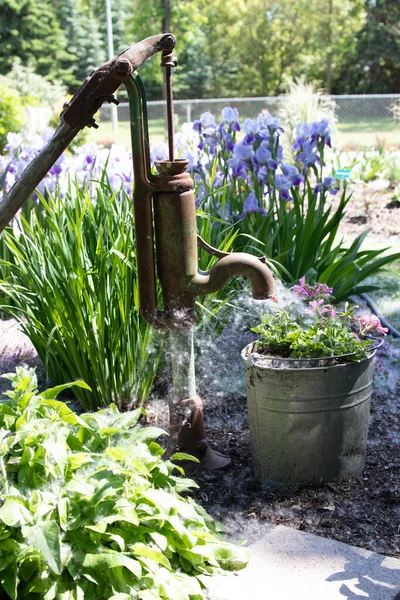 Closeup Rusty Old Pump Watering Flowers Garden — Stock Photo, Image