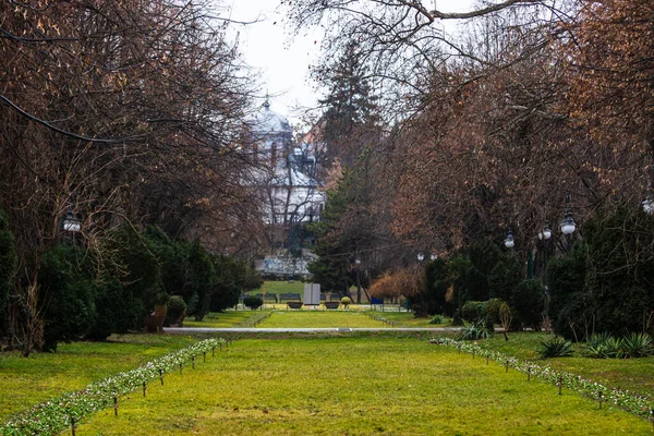 Primo Piano Dell Autunno Parco — Foto Stock