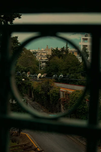 Μια Κάθετη Θέα Του Δρόμου Από Κιγκλίδωμα Του Παραθύρου Αθήνα — Φωτογραφία Αρχείου