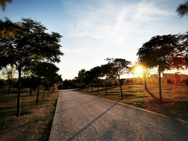 Een Prachtig Shot Van Een Park Bij Zonsondergang — Stockfoto