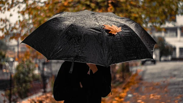 Une Personne Manteau Noir Tenant Parapluie Noir Avec Une Feuille — Photo