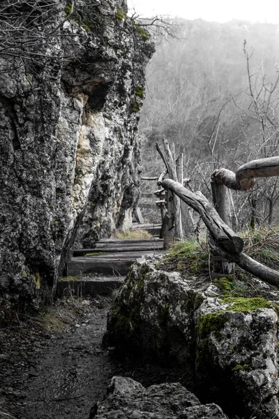 Pintoresco Plano Una Escalera Con Una Valla Madera Montaña — Foto de Stock