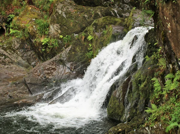 Uma Bela Vista Uma Cachoeira Floresta — Fotografia de Stock