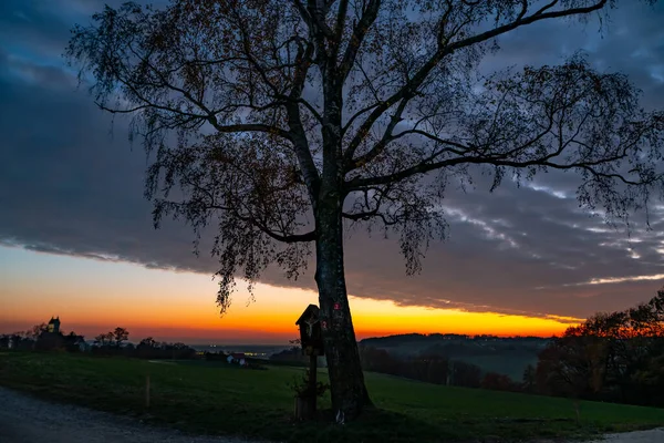 Der Wunderschöne Orangefarbene Sonnenuntergang Mit Bewölktem Himmel Und Einem Baum — Stockfoto