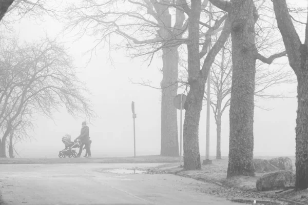 霧に覆われた公園で子供たちと一緒に歩いているお母さん — ストック写真