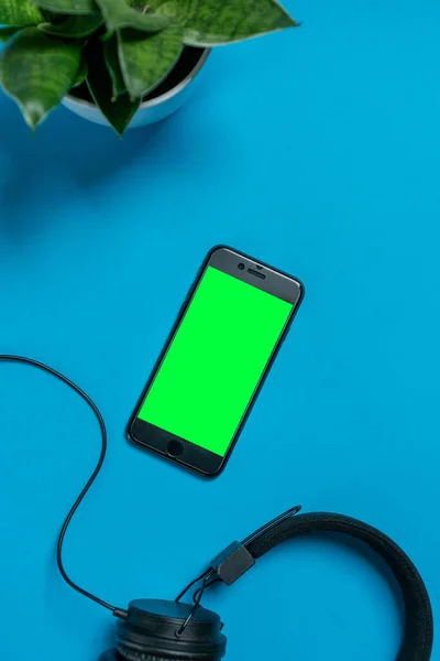 Een Verticale Bovenaanzicht Van Een Smartphone Met Groen Scherm Koptelefoon — Stockfoto