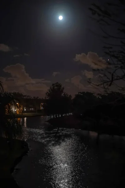 Красивий Знімок Двору Вночі — стокове фото