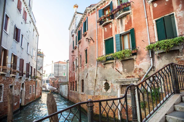 아름다운 베네치아의 이탈리아 — 스톡 사진