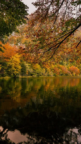 Ένα Όμορφο Τοπίο Μιας Λίμνης Ένα Πάρκο Φθινόπωρο — Φωτογραφία Αρχείου