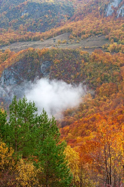 Piękne Ujęcie Okolicy Dumesti Hrabstwie Alba Jesienią — Zdjęcie stockowe