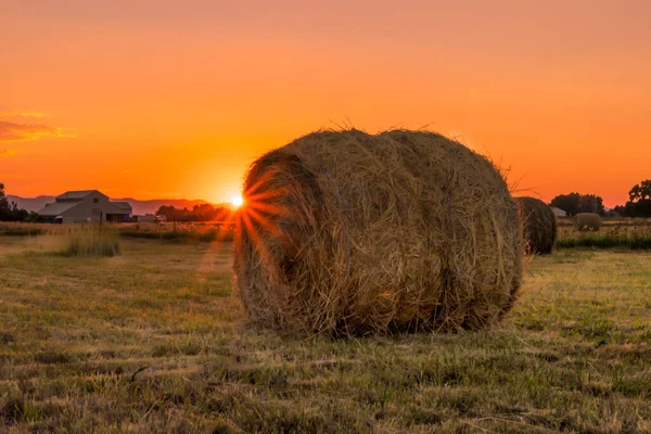 Grande Palhaço Campo Pôr Sol — Fotografia de Stock