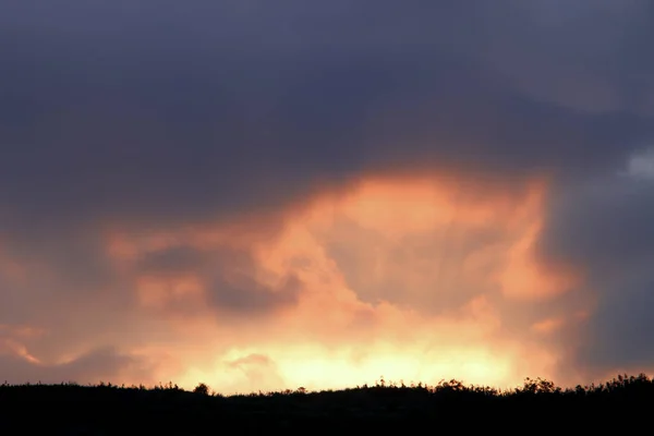 Der Wunderschöne Sonnenuntergang Über Den Silhouetten Der Bäume — Stockfoto