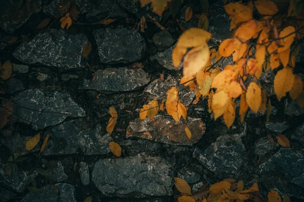 Une Vue Dessus Vieux Sentier Rocheux Altéré — Photo