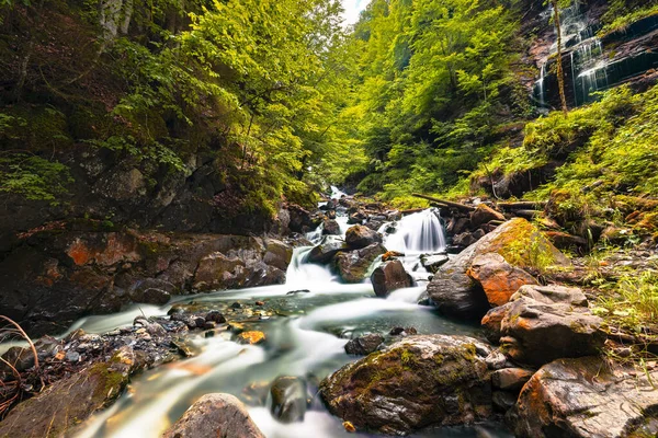 Una Bella Cascata Fluente Una Foresta — Foto Stock
