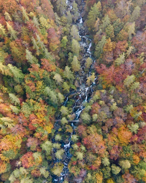 Tiro Aéreo Lago Entre Montanhas Cobertas Árvores Coloridas — Fotografia de Stock