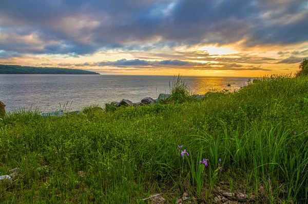 芝生に囲まれた海岸線からの日の出の美しいショット — ストック写真