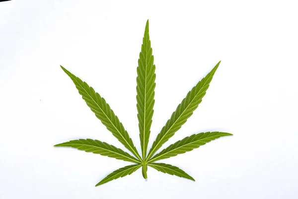 Una Marihuana Medicinal Hojas Cannabis Verde Aisladas Sobre Fondo Blanco —  Fotos de Stock