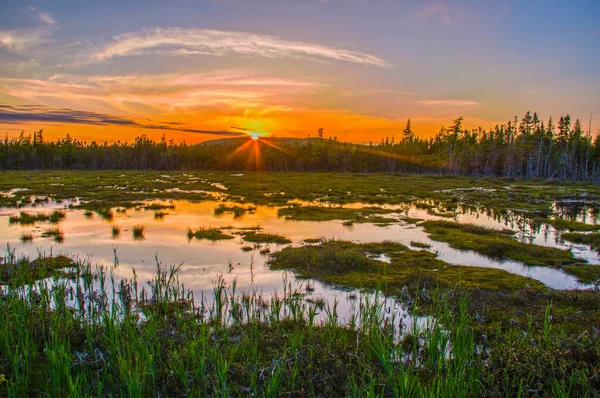 Beautiful Shot Swamp Sunset Cloudy Skies — Stock Photo, Image