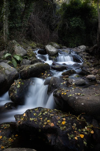 Ένα Μικρό Ποτάμι Ρέει Πάνω Από Βράχια Ένα Φθινόπωρο Δάσος — Φωτογραφία Αρχείου