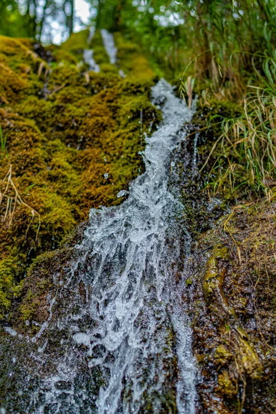 Eine Wunderschöne Wasserlandschaft Die Über Eine Natürliche Grüne Klippe Mit — Stockfoto