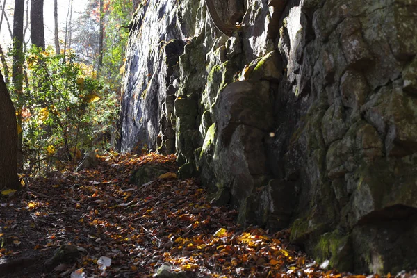 Nahaufnahme Einer Mit Moos Bedeckten Steinstruktur Einem Wald — Stockfoto