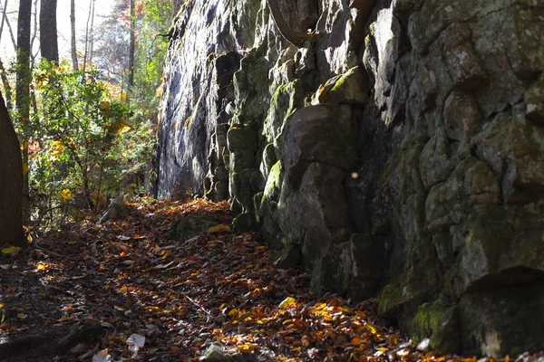 Tiro Close Uma Estrutura Pedra Coberta Musgo Uma Floresta — Fotografia de Stock