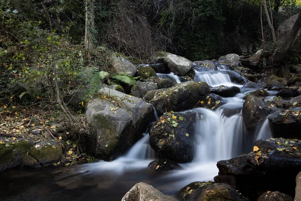 Ein Kleiner Fluss Über Den Felsen Herbstlichen Wald — Stockfoto