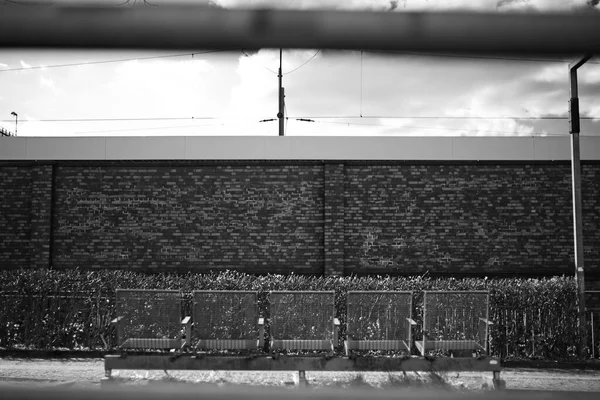 砖墙前面的篱笆的灰度照片 — 图库照片