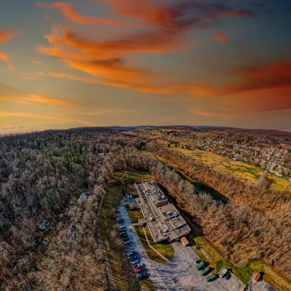 Een Prachtig Uitzicht Kleurrijk Bos Avond — Stockfoto