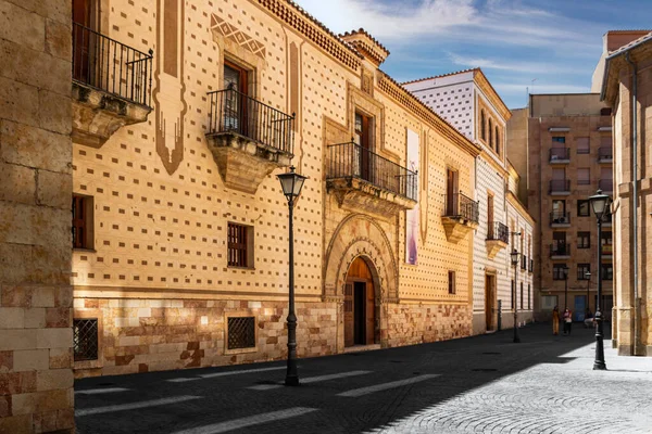Arkitektoniska Byggnaderna Salamanca Spanien — Stockfoto